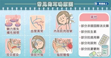 耳朵有聲音|耳鳴是耳朵聽到持續而高頻的聲音，4大類原因報你知…